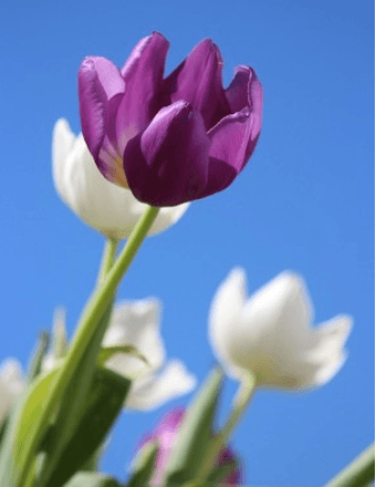 Eva M. Henderson Obituary