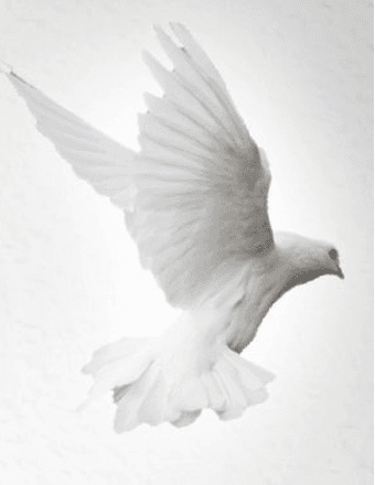 Mary E. Seigars Obituary